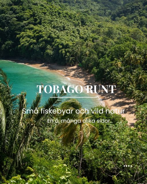 Tobago är inte särskilt stort. Ön är ungefär fyra mil lång och som mest drygt en mil bred. Ändå är skillnaderna stora mellan den livligare sydvästkusten och de små fiskebyarna längs den norra och östra delen av ön.

Ett bra sätt att upptäcka Tobago är därför att hyra bil och ge sig ut på vägarna. Då kan du lämna Crown Points stränder och restauranger bakom dig, köra genom den täta regnskogen, stanna till i små byar, bada vid en nästan tom strand och fortsätta när det passar dig.

Det är inte alltid de rakaste eller bredaste vägarna. Men det är också en del av upplevelsen.

Nu kan du läsa en ny artikel på vår hemsida om att hyra bil och upptäcka hela Tobago. Du hittar som vanligt länken i bion @kenzantravel 

CASTARA
Fiskebåtar, små restauranger
och ett lugnare tempo.

Castara är en av de där platserna där Tobago känns som mest Tobago. Fiskebåtarna ligger på stranden, husen klättrar upp längs de gröna sluttningarna och livet pågår i ett ganska stillsamt tempo.

Det är en fin plats att stanna några dagar och ha som bas för bad, vandringar och utflykter längs kusten.

ENGLISHMAN’S BAY
En strand mellan
gröna berg och öppet hav.

På vägen vidare är Englishman’s Bay värd en avstickare. Stranden ligger mellan skogsklädda berg och känns fortfarande ganska orörd.

Ta ett dopp, hitta lite skugga och stanna längre än du först tänkt. Roadtrip på Tobago behöver inte handla om att komma fram.

CHARLOTTEVILLE
Här går tiden lite långsammare.

Längst ute på Tobagos nordöstra kust ligger Charlotteville, en liten fiskeby runt en skyddad vik.

Här finns inga långa listor av sevärdheter att beta av. Gå ner till stranden, titta på fiskebåtarna och slå dig ner en stund vid piren. Ibland räcker det ganska långt.

SPEYSIDE
Regnskog, korallrev
och Little Tobago utanför kusten.

Från Charlotteville går vägen söderut mot Speyside och längs en av de vackrare delarna av Tobagos kust.

Utanför ligger Little Tobago, med korallrev och ett rikt marint liv. Härifrån kan du ge dig ut på båtturer, snorkla eller dyka.

FRÅN KAKAO TILL VATTENFALL
En dag på Tobago kan innehålla
både regnskog, choklad och bad.

Det är just kombinationen som gör en rundtur på Tobago så trevlig.

Du kan börja dagen med a