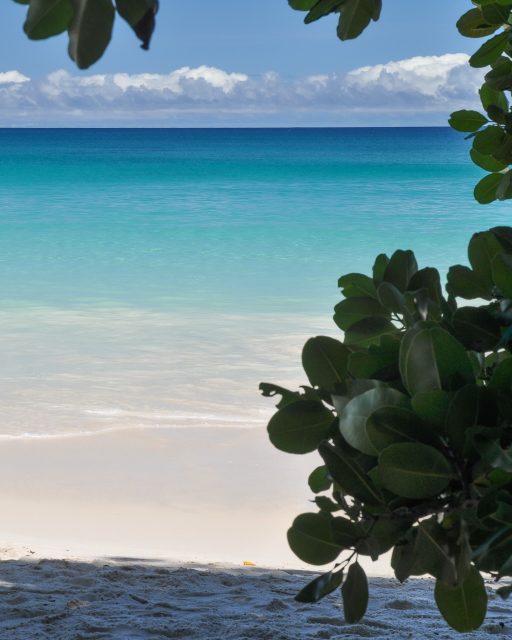 November runt hörnet och plötsligt känns tanken på sand mellan tårna, salt i håret och ett varmt hav ganska lockande.

Från Sydafrika till Zanzibar finns stränder som lockar med allt från vilda kustlandskap till turkost vatten och lugna dagar vid havet.

Vi säger inte att du behöver boka en resa. Men vi förstår om du börjar fundera på saken.

Vart skulle du helst åka?

Bilderna är från:
1. Seychellerna 
2. Sydafrika 
3. Seychellerna 
4. Madagaskar 
5. Namibia
6. Madagaskar 
7. Zanzibar 
8. Mozambique 
9. Mauritius 
10. Zanzibar 
11. Zanzibar 
12. Mozambique