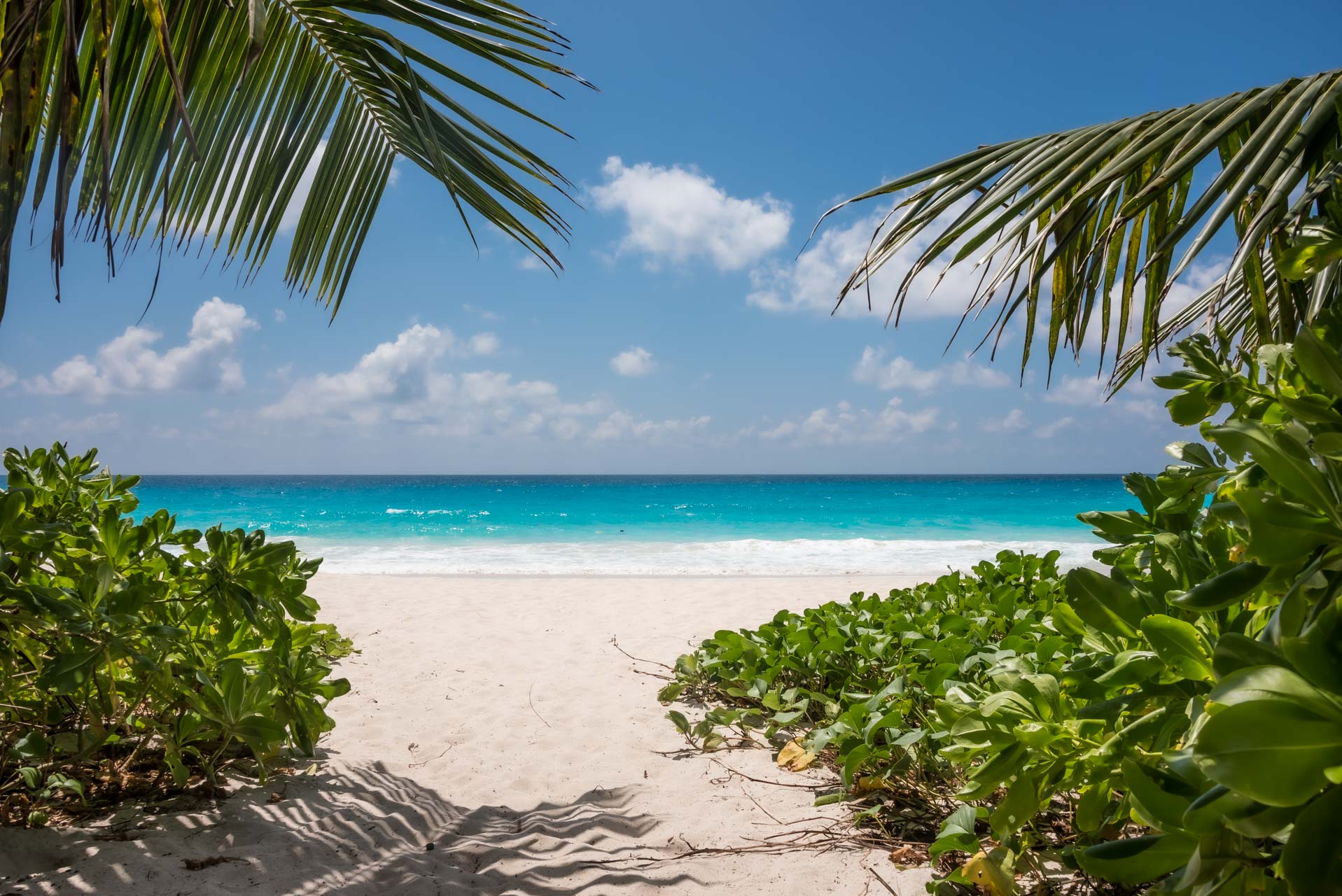 Sju skäl att sätta av till Seychellerna – ett fantastiskt ö-paradis!