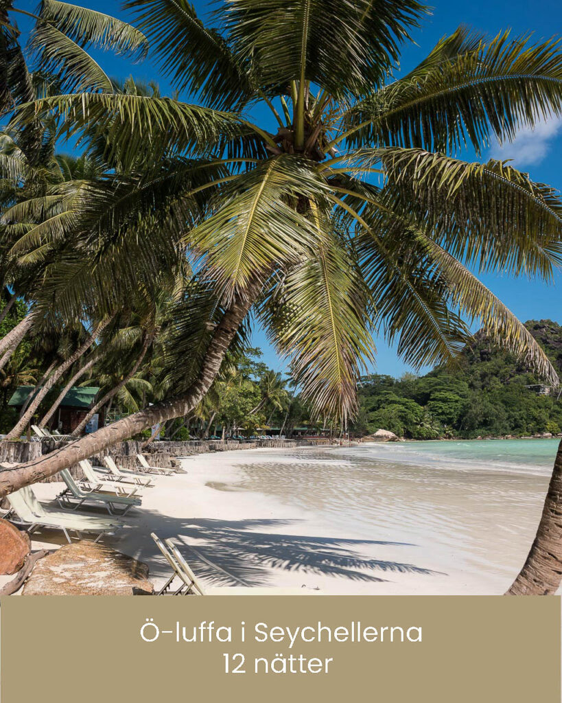 Seychellerna resa 1. Seychellerna har några av de vackraste och mest kända stränderna i världen och med boende på små, charmiga familjeägda guesthouses och lite äventyrslusta kan de flesta förverkliga drömmen om paradiset för en överkomlig slant. På den här kombinationsresan upplever ni tre öar och bor på prisvärda guesthouses.