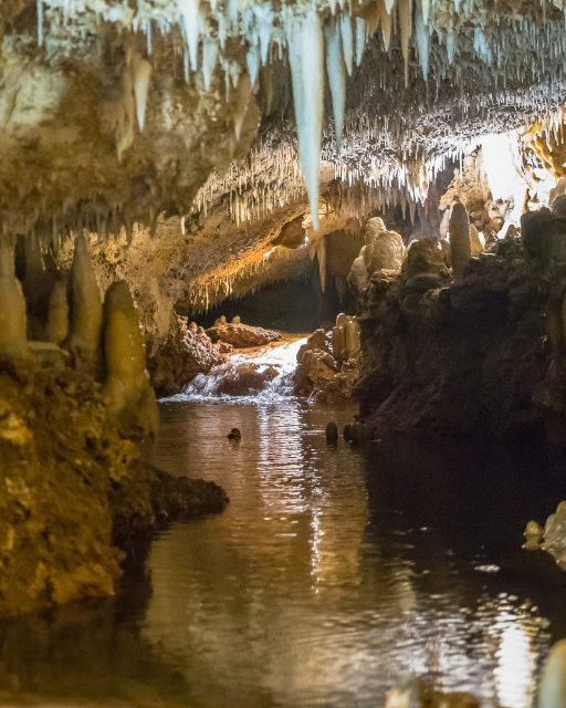 Mitt på 𝗕𝗮𝗿𝗯𝗮𝗱𝗼𝘀, i området St. Thomas, döljer sig en av öns mest unika sevärdheter: Harrison's Cave. Ombord på ett litet elektriskt tåg tar du dig genom mäktiga kalkstensgrottor, förbi stalaktiter, porlande bäckar och underjordiska vattenfall.
Ska du bara hinna med en utflykt på Barbados är det hit du ska åka!
Läs mer om Barbados i dagens nyhetsbrev, länk i bion @kenzantravel 
Är du nyfiken på en resa till Barbados hittar du oss som vanligt här:
📞 08-30 21 03
📩 info@kenzantravel.se
