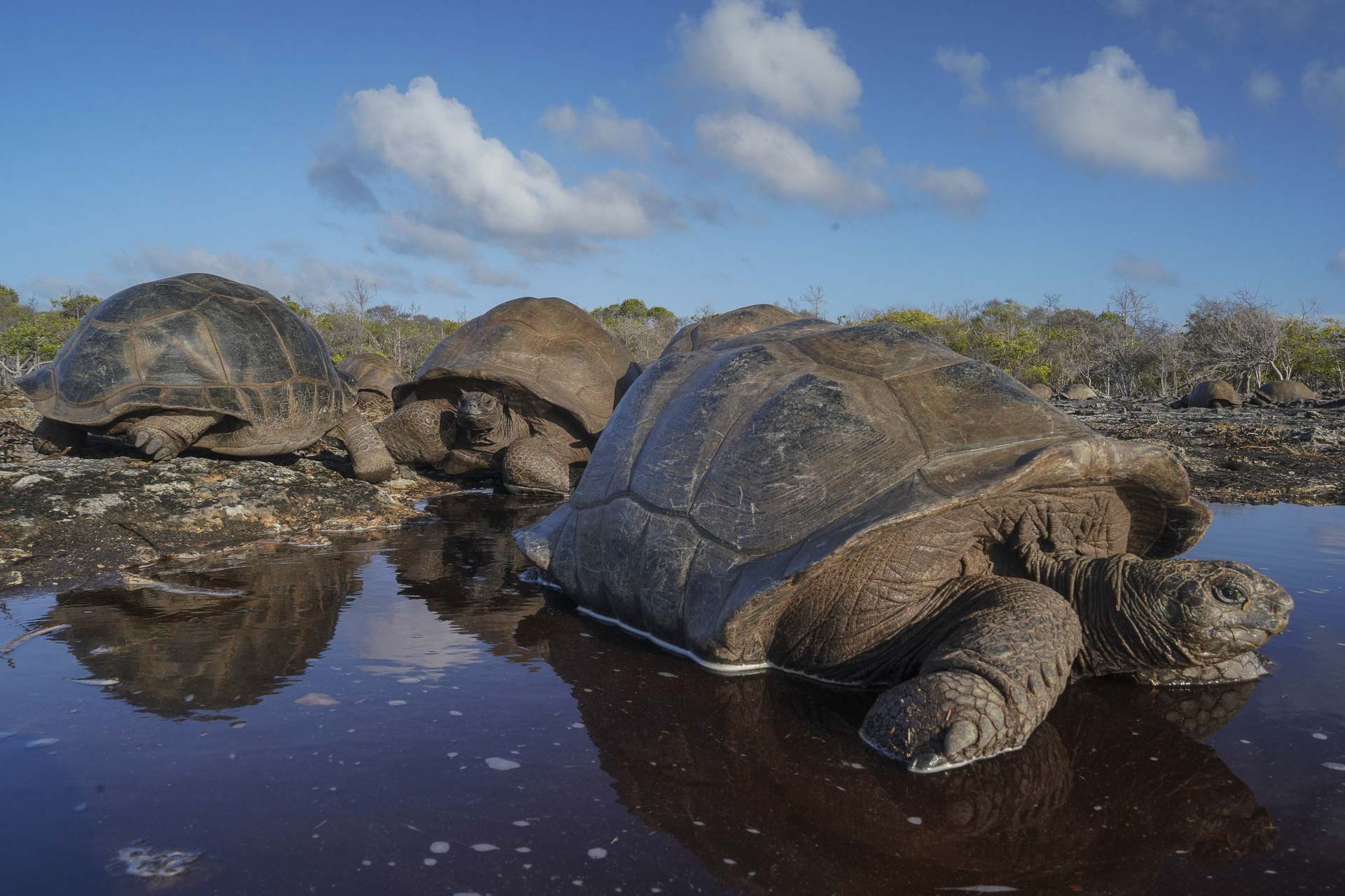 Hållbar turism och bevarande på Seychellerna, mer än bara paradisstrand