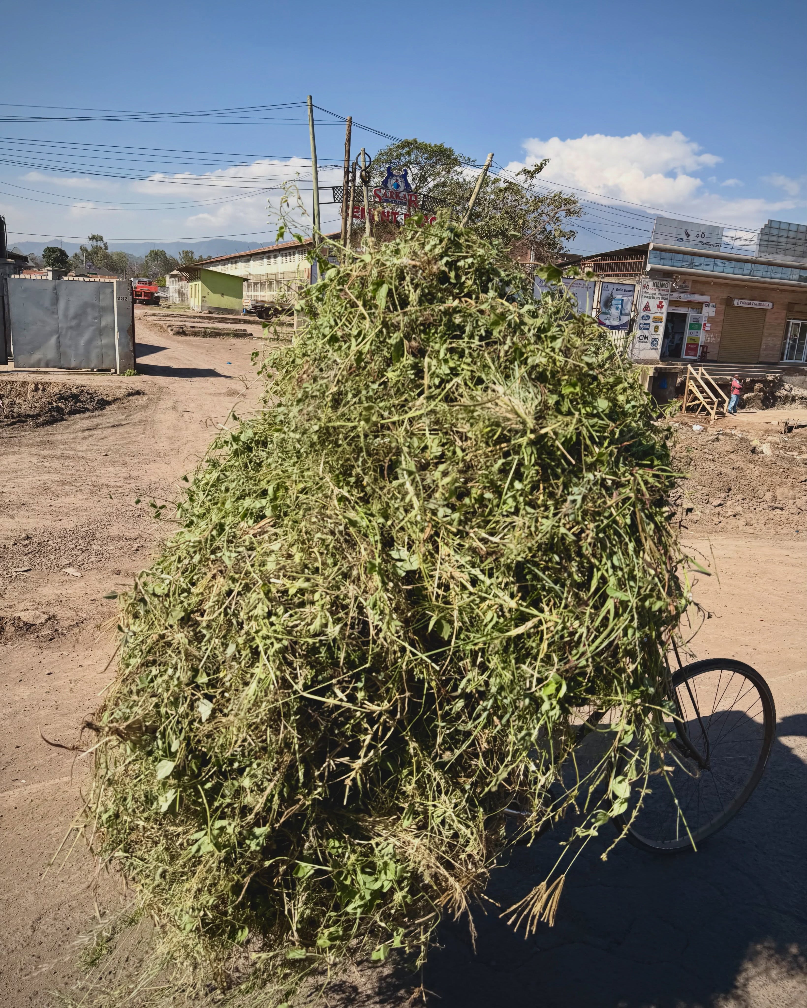 Hur mycket går det att packa på en cykel?
Mer än man kan tror…
En vanlig oktoberdag i Arusha, Tanzania🍁🧡
📷: Olle